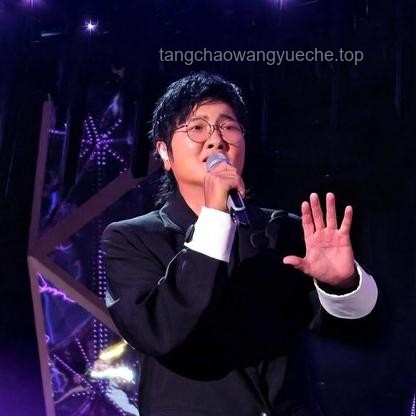 歌手揭榜全解析，音乐竞技新玩法